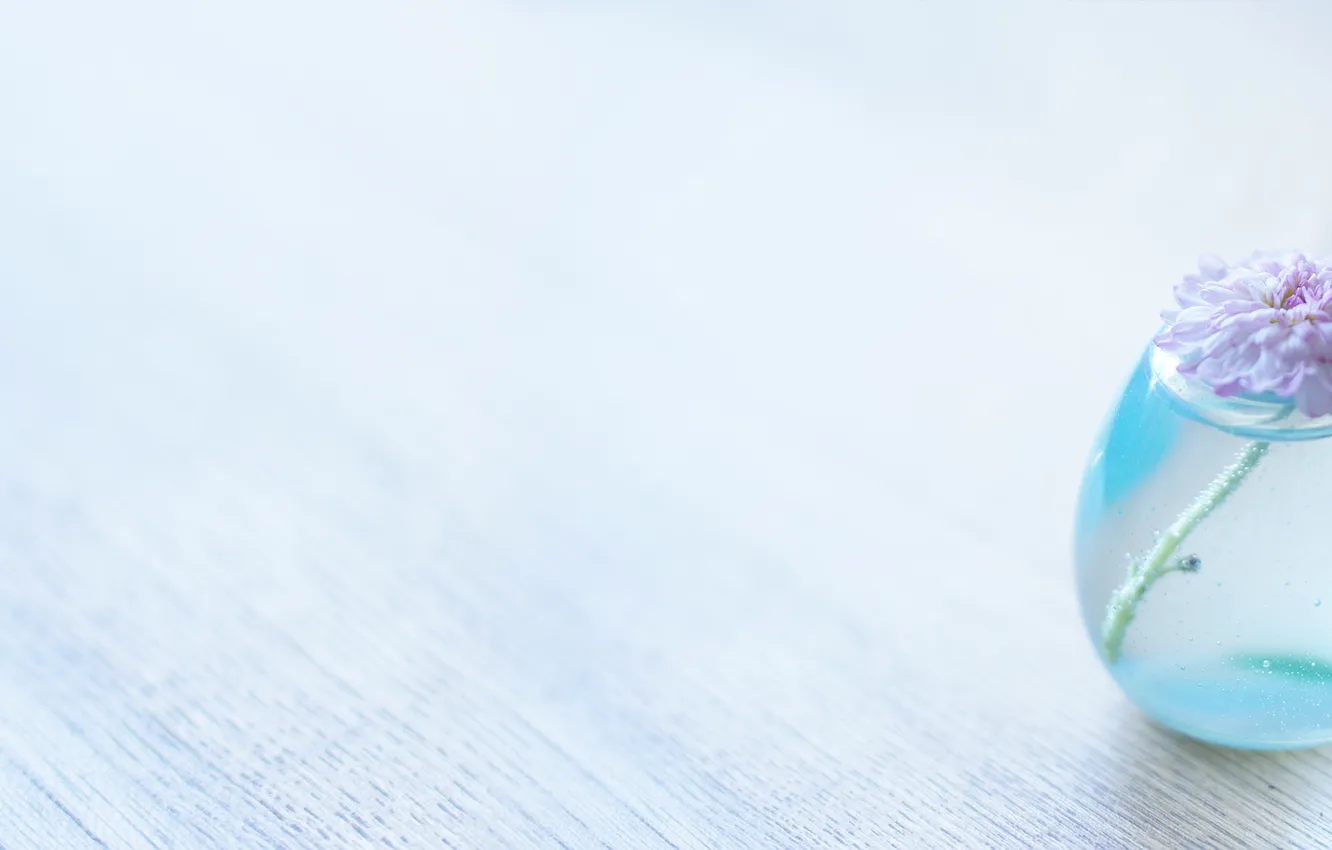 Photo wallpaper wide, flower, table, Minimalistic, Brightly, Jug, clearly