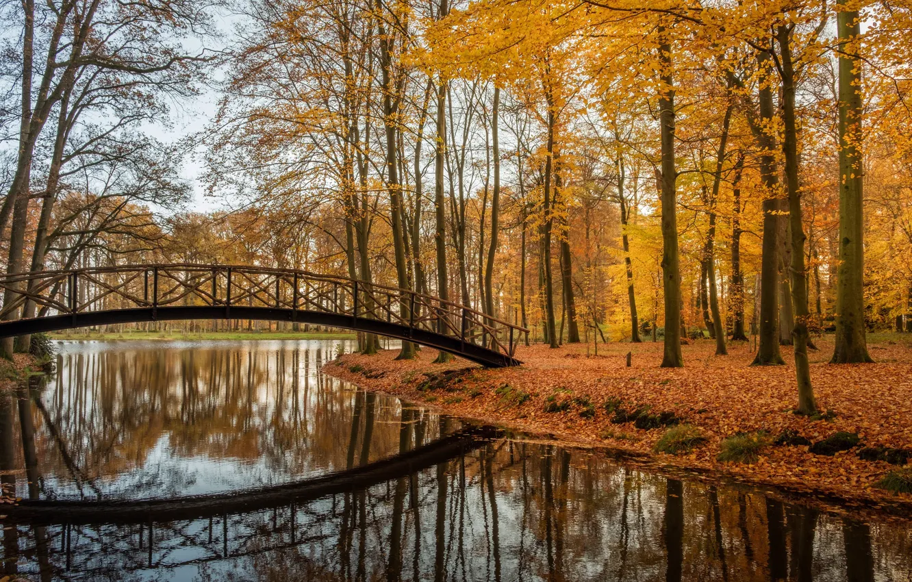 Photo wallpaper autumn, trees, bridge, lake, Park, reflection, Netherlands, Netherlands