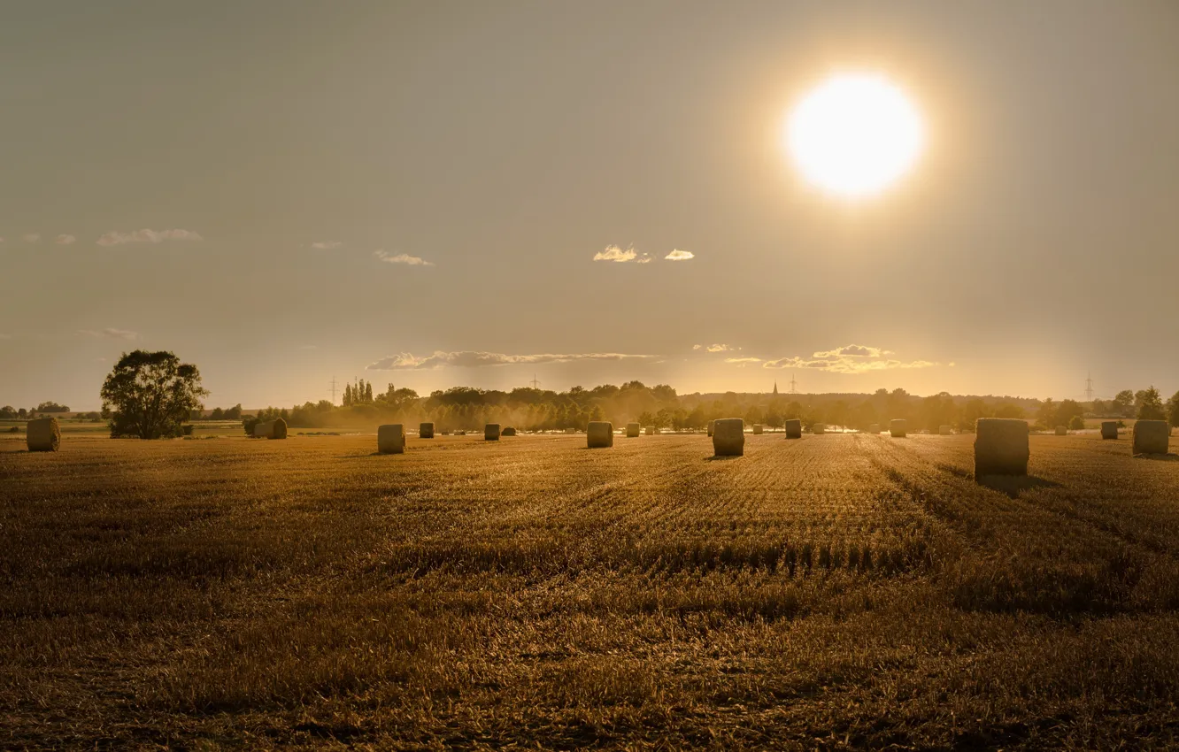 Photo wallpaper field, summer, sunset, hay