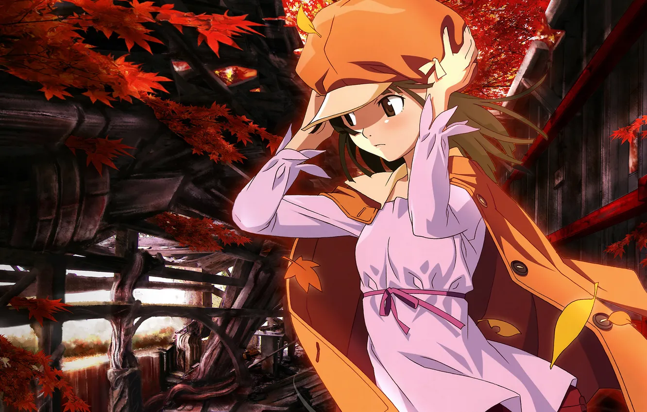 Photo wallpaper anime, bakemonogatari, history of monsters, nadeko