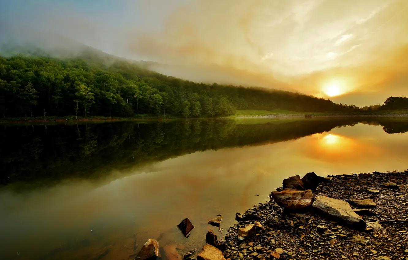 Photo wallpaper trees, sunset, fog, lake