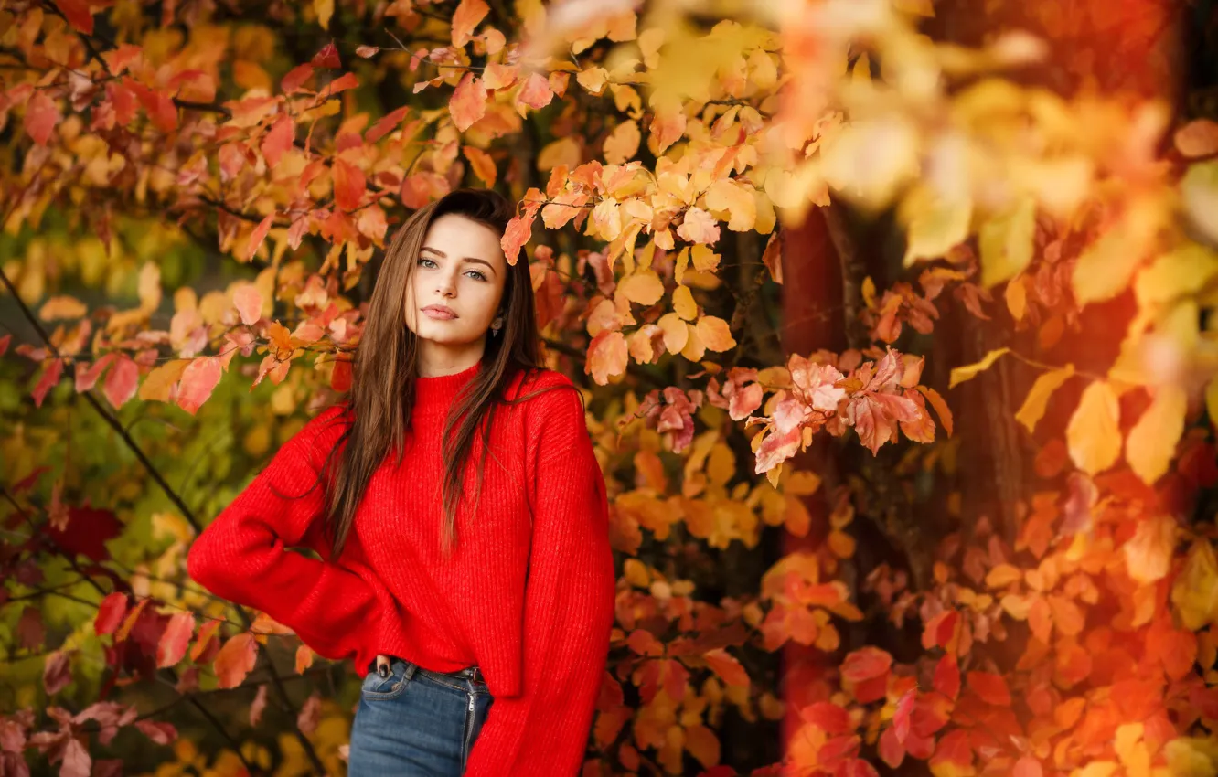 Photo wallpaper Girl, Brunette, Autumn, Beauty, Yellow, RED, Sight