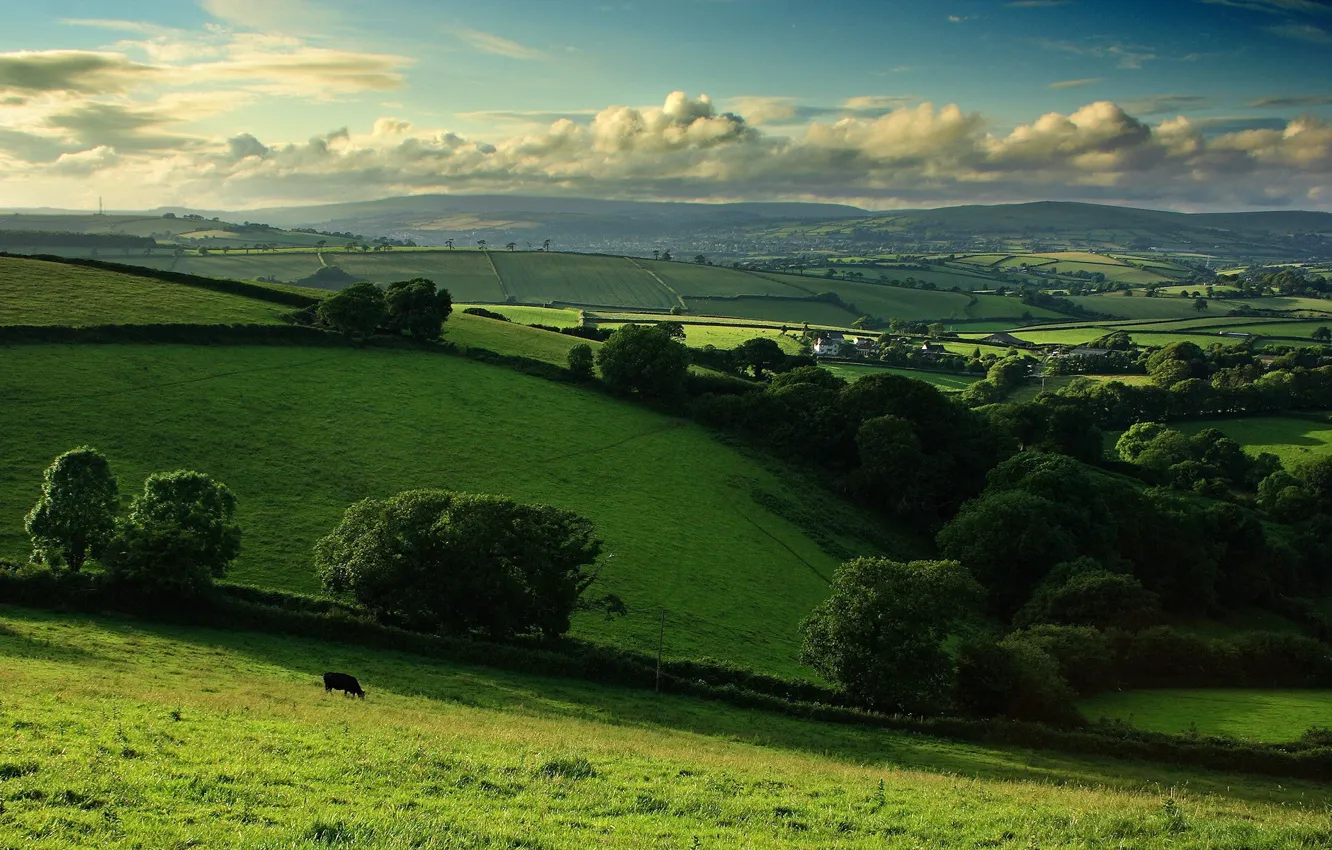 Photo wallpaper field, clouds, trees, hills