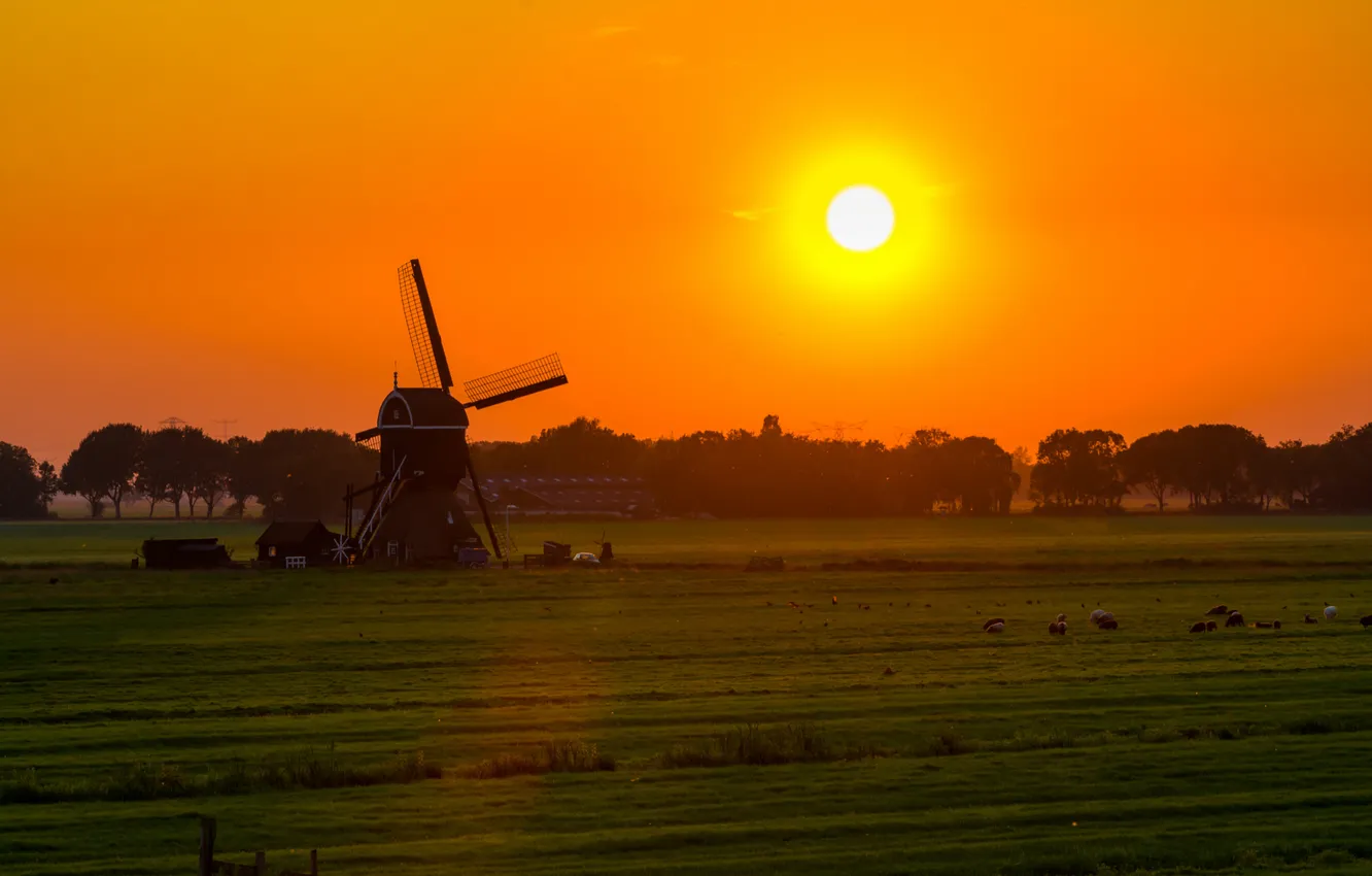 Photo wallpaper field, the sky, the sun, trees, sunset, windmill
