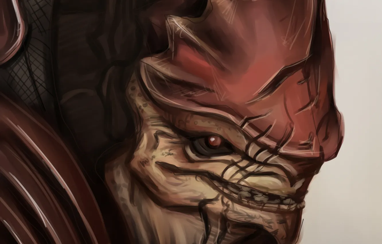 Photo wallpaper face, art, mass effect, krogan, wrex, Urdnot Wrex, Krogan Battlemaster