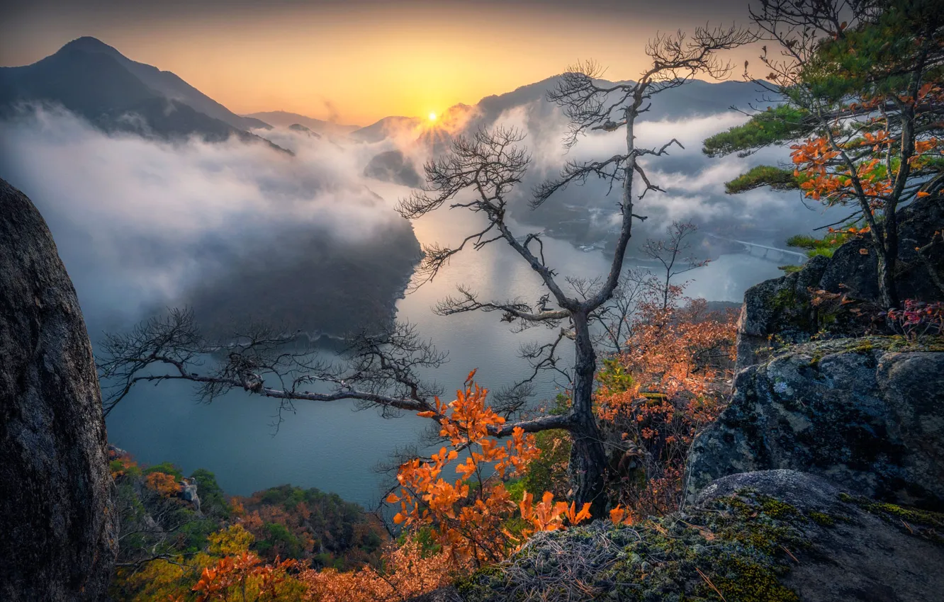 Photo wallpaper autumn, the sky, mountains, fog, tree, rocks, foliage, view