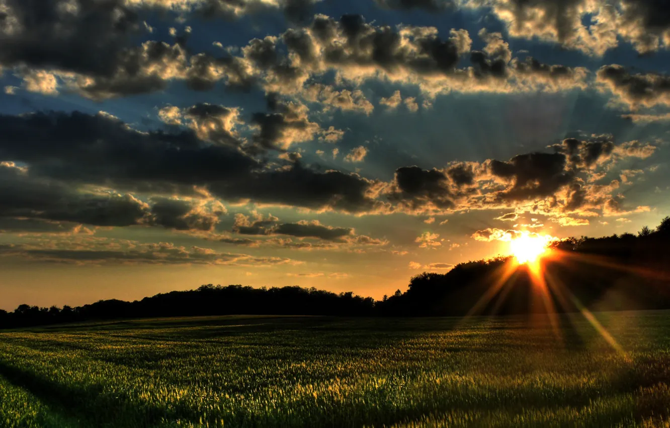 Photo wallpaper field, forest, summer, the sky, clouds, sunset, photo, dawn