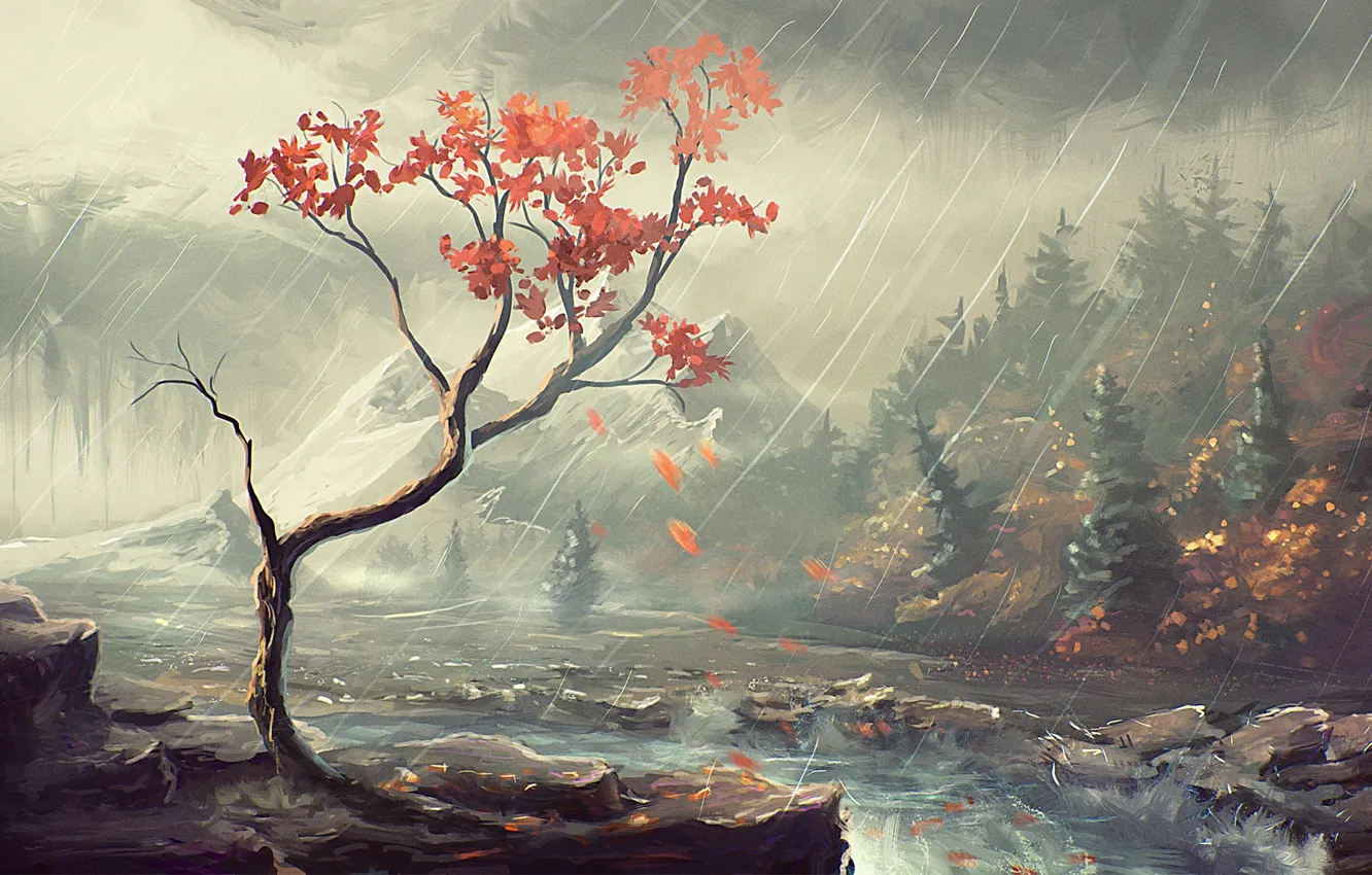Photo wallpaper autumn, forest, trees, river, rain, shore, art