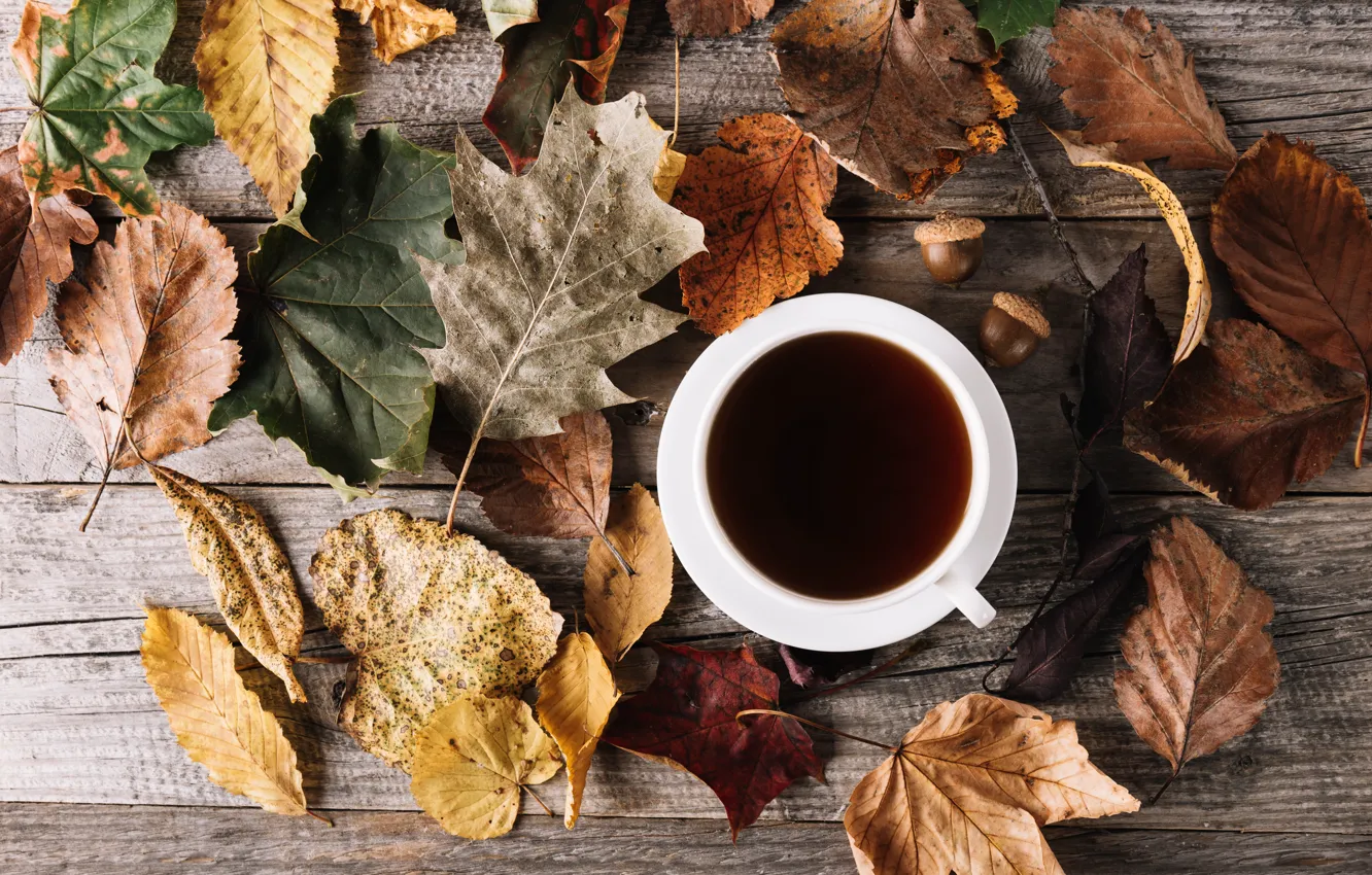 Photo wallpaper autumn, leaves, coffee, Cup, wood, autumn, leaves, cup