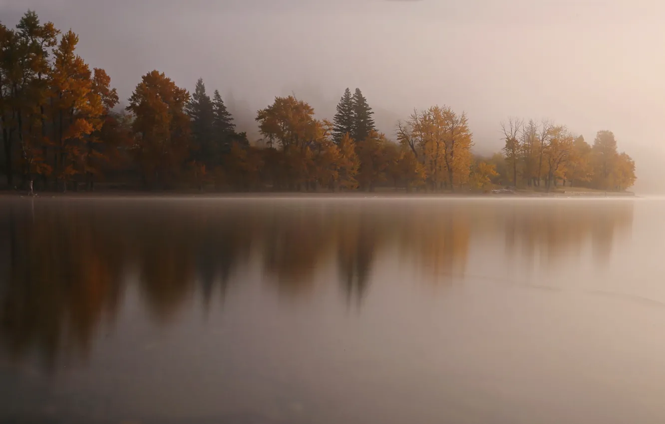 Photo wallpaper autumn, trees, fog, lake
