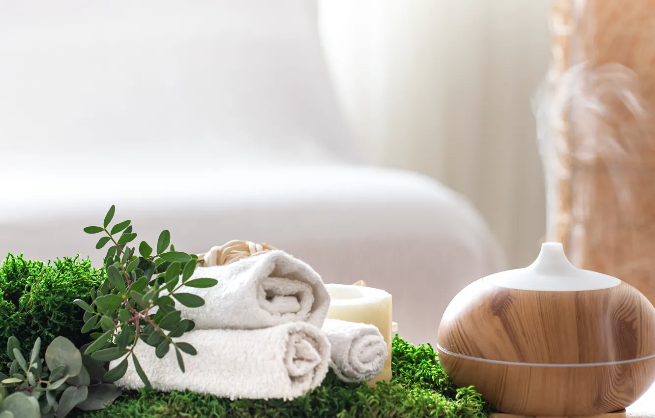 Photo wallpaper greens, comfort, sofa, relax, plant, moss, towel, candles