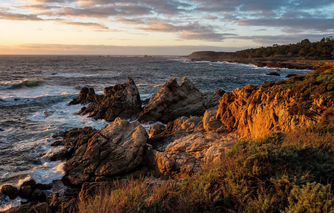 Photo wallpaper sea, nature, shore