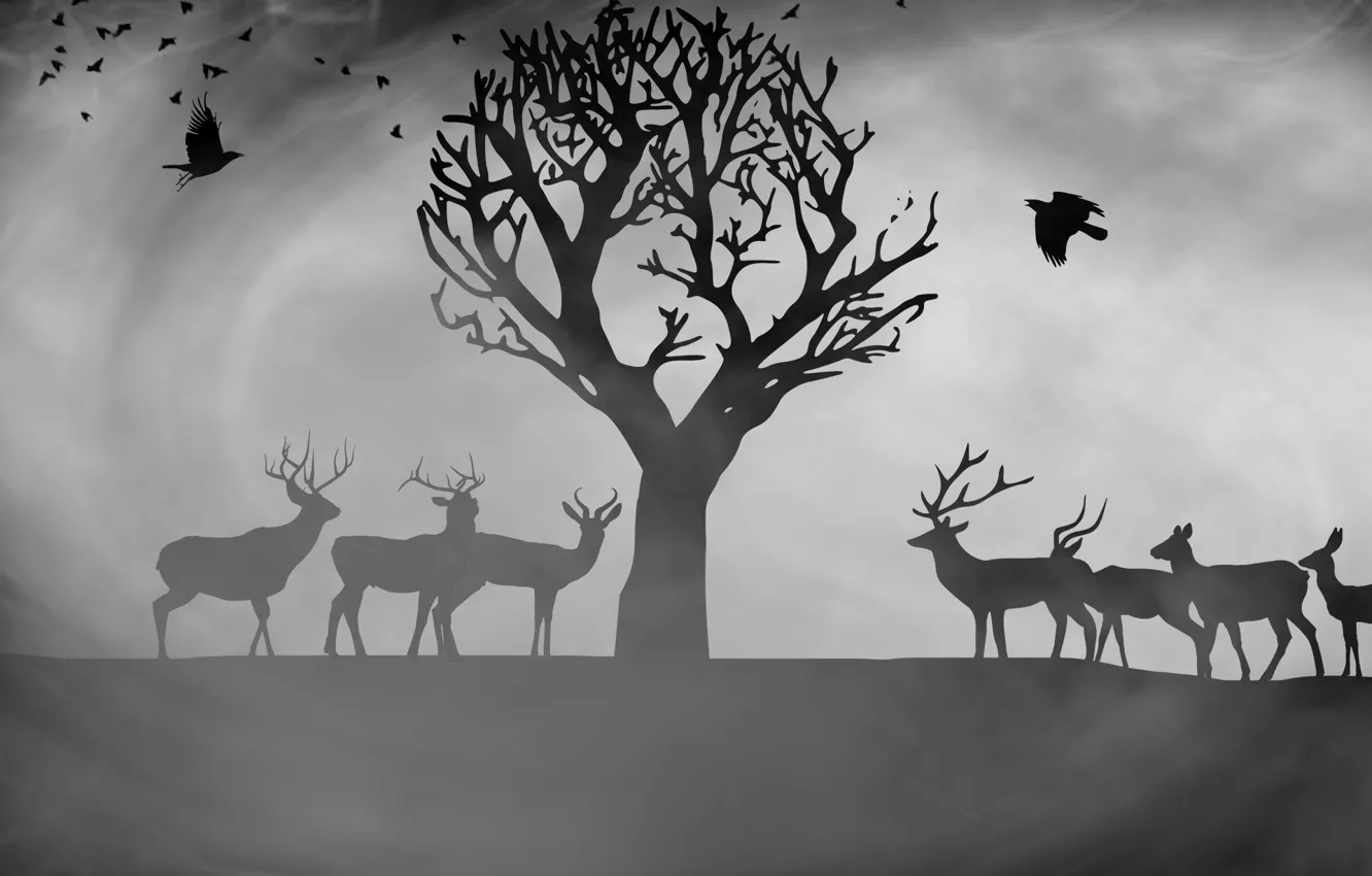 Photo wallpaper trees, deer, picture