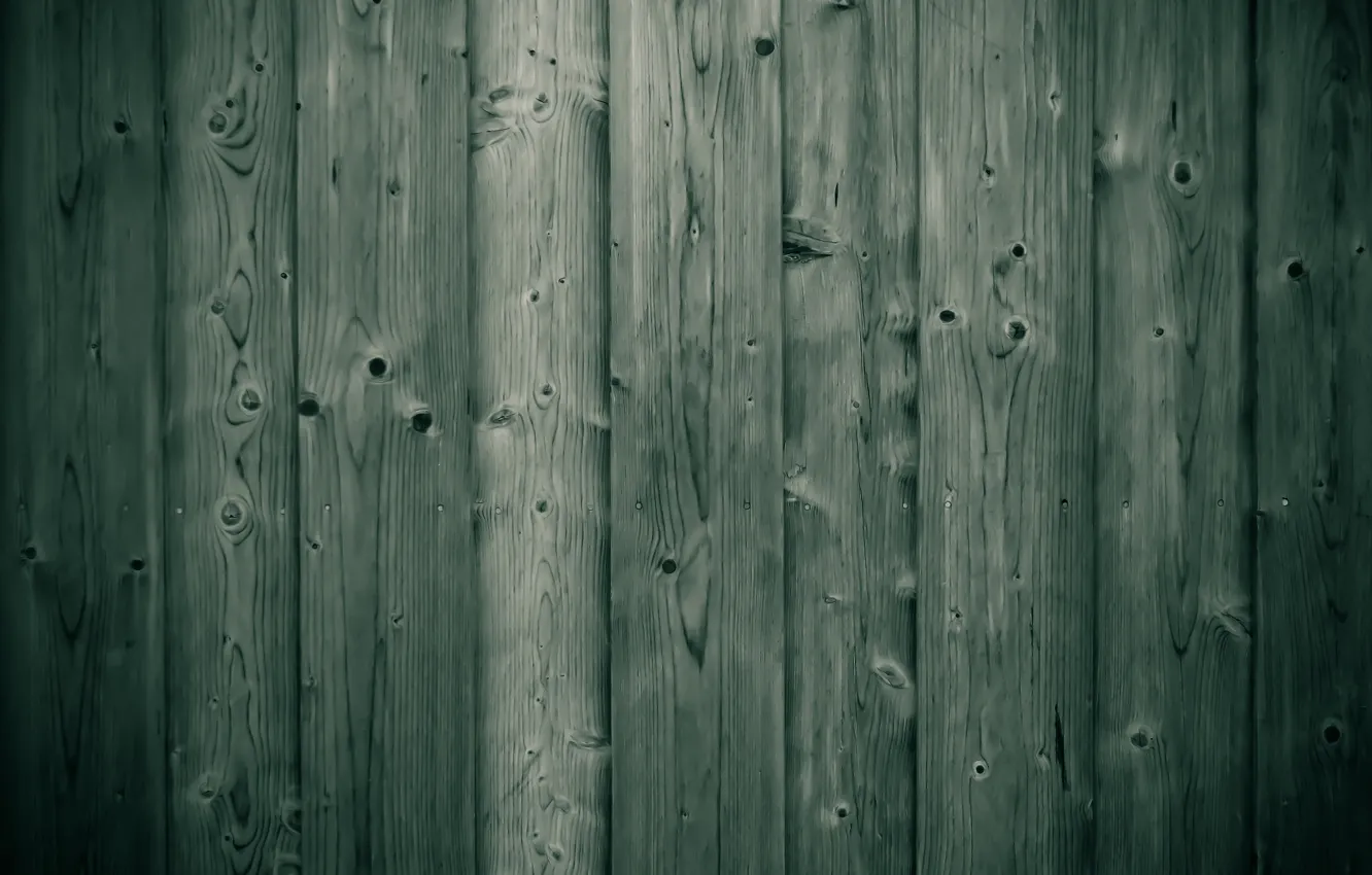 Photo wallpaper tree, Board, texture, wood, texture, 1920x1080, board