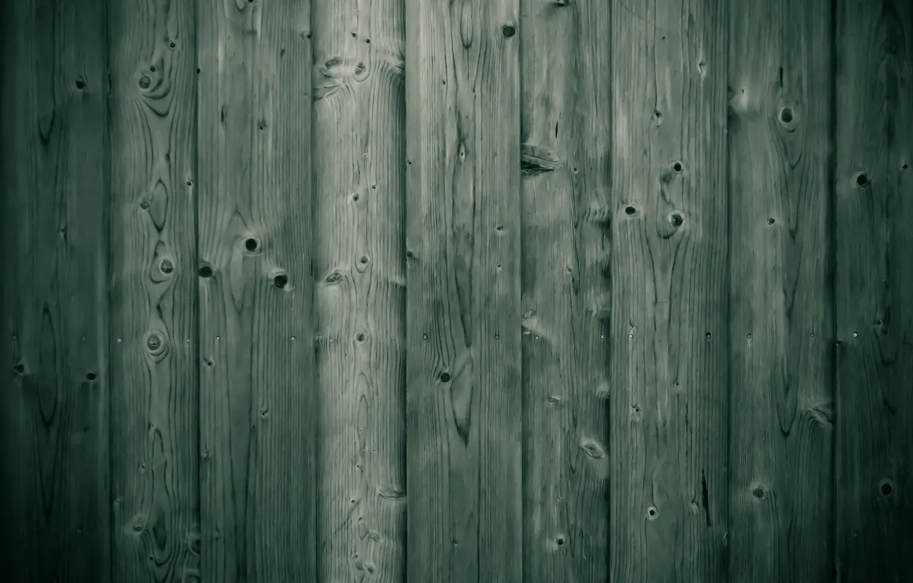 Photo wallpaper trees, Board, texture, wood, texture, 1920x1080, board