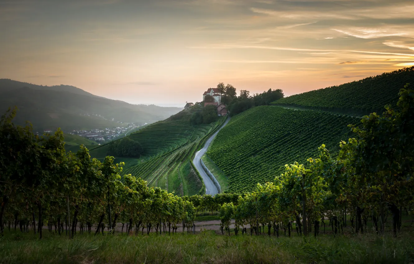 Photo wallpaper mountains, home, morning, vineyard