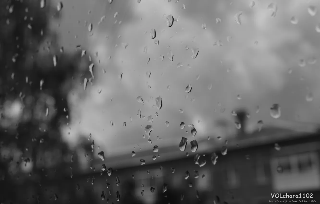 Photo wallpaper drops, rain, depression