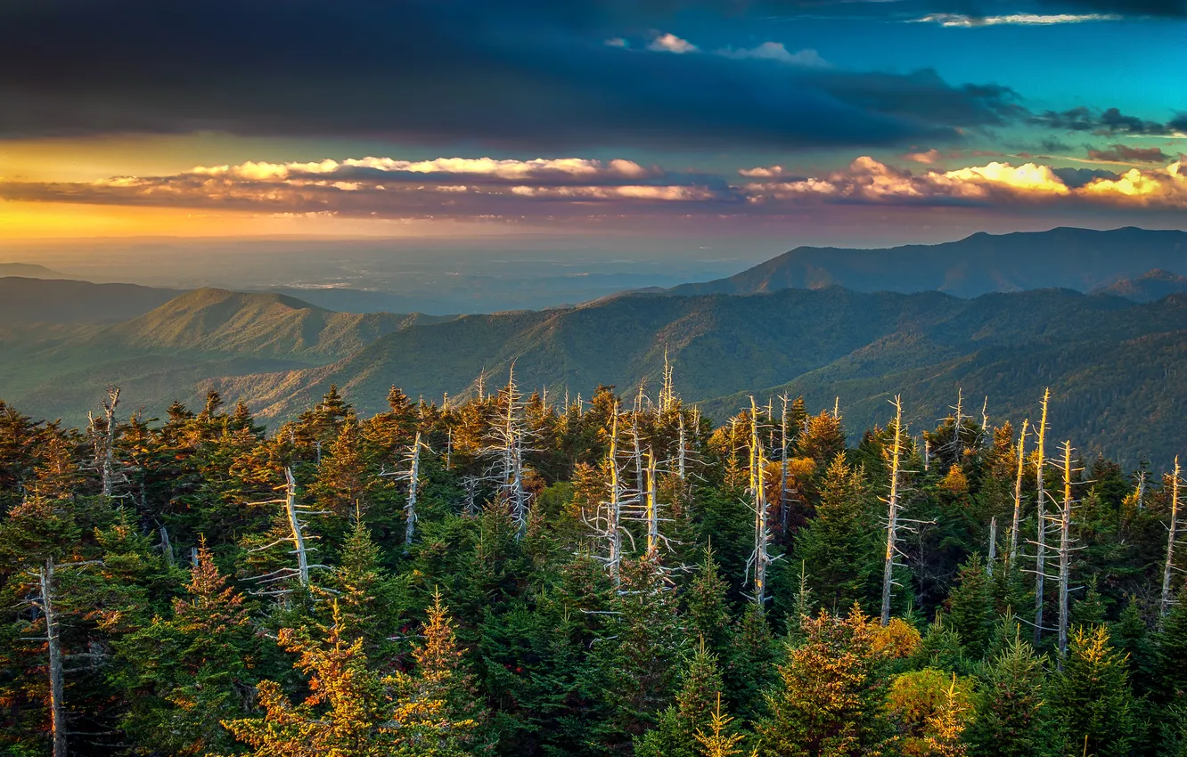 Photo wallpaper forest, clouds, trees, mountains, glow, USA, Kentucky