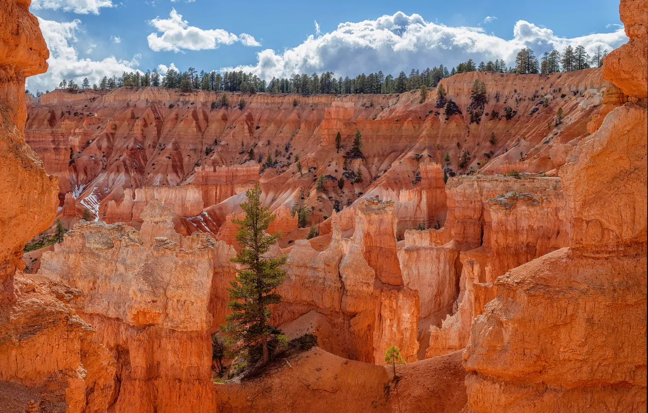 Photo wallpaper the sky, clouds, trees, rocks, canyon