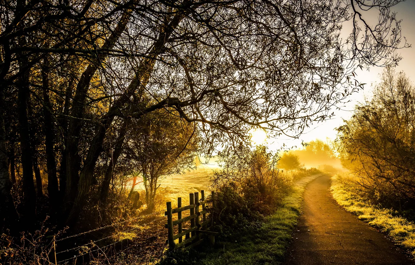 Photo wallpaper road, light, morning