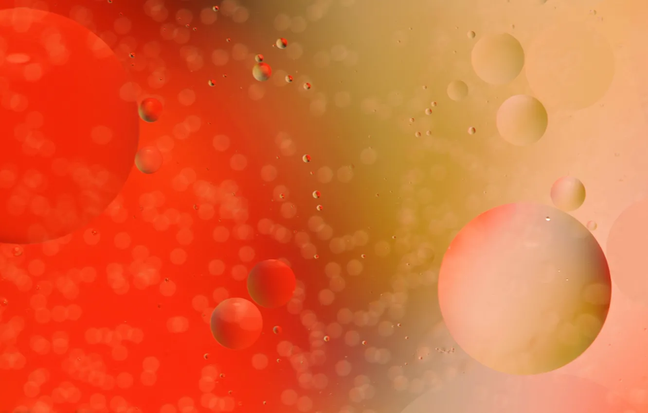 Photo wallpaper water, balls, bubbles, color, oil, liquid, the air, the volume