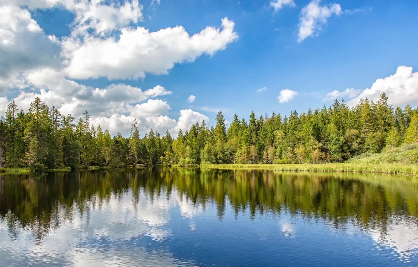 Photo wallpaper forest, the sky, clouds, lake, pond, reflection, Switzerland, Switzerland