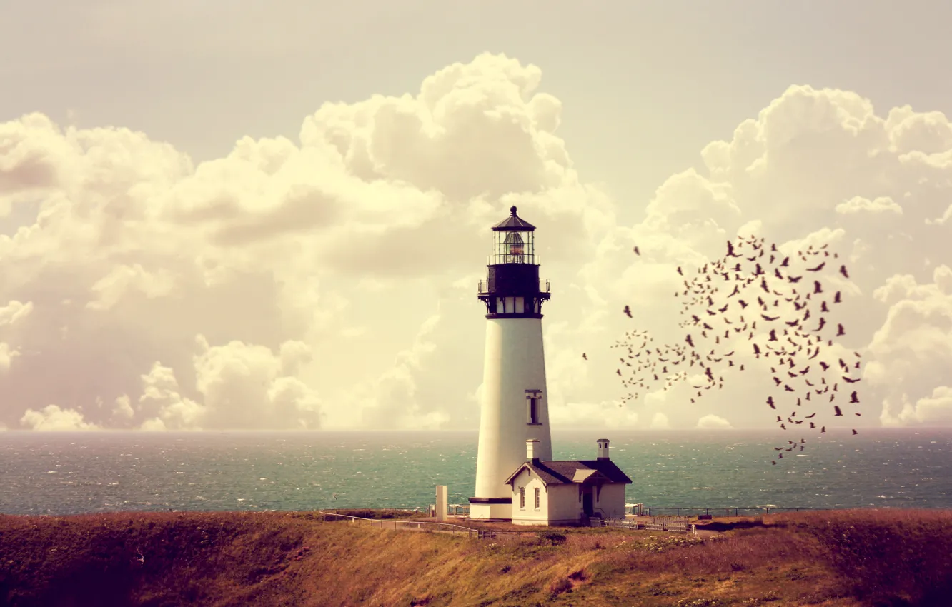 Photo wallpaper sea, the sky, clouds, coast, lighthouse, horizon, house, a flock of birds