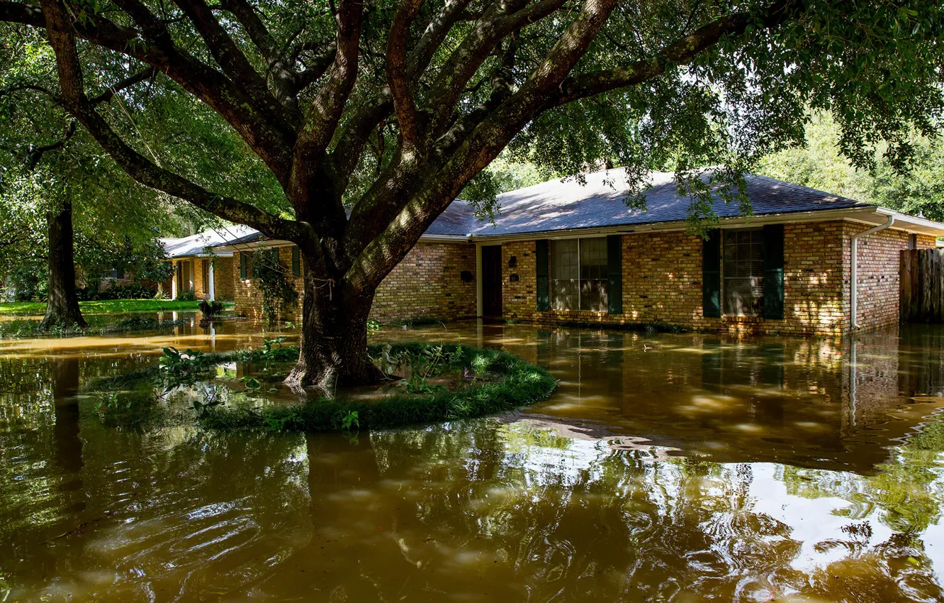 Photo wallpaper water, house, reflection, tree, flood
