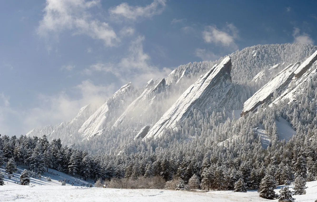 Photo wallpaper winter, forest, snow, mountains, rocks