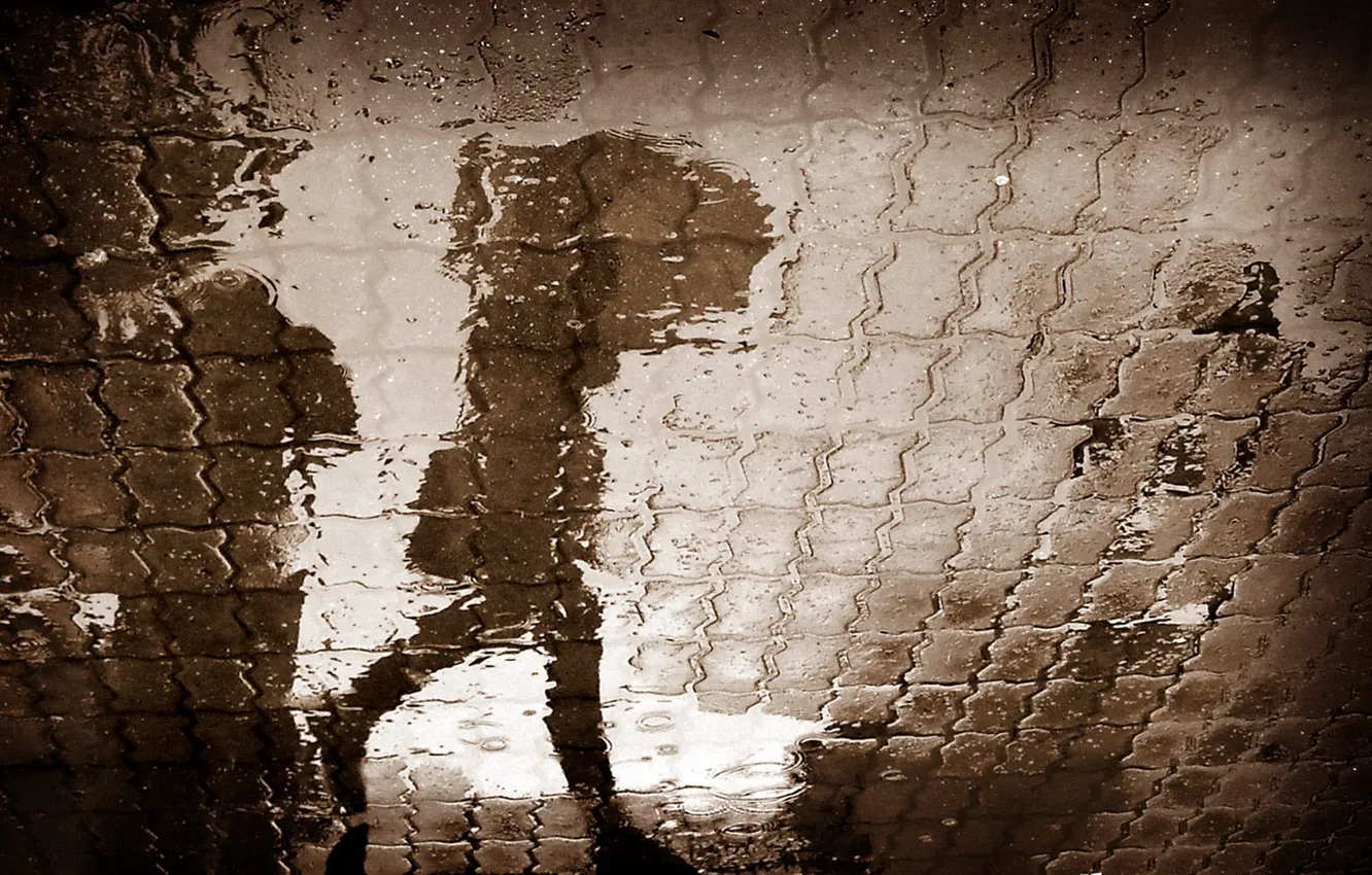 Photo wallpaper reflection, rain, puddle