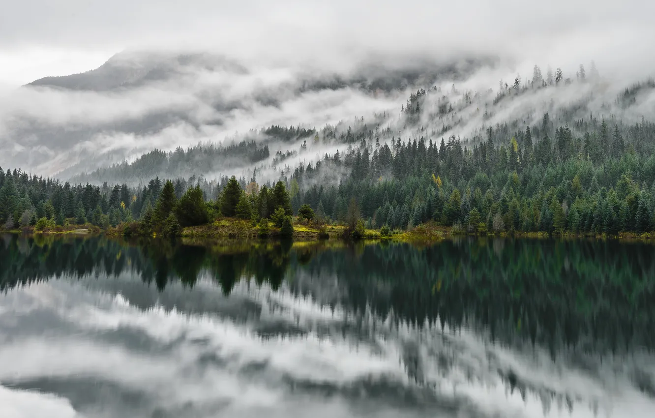 Photo wallpaper clouds, trees, mountains, lake, reflection, mirror, pine