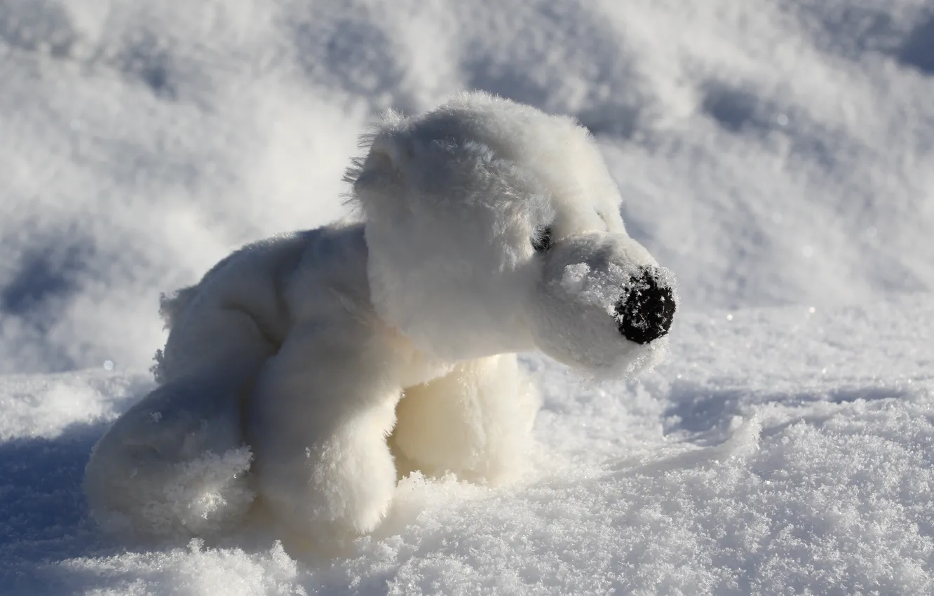 Photo wallpaper winter, white, light, snow, pose, toy, shadow, nose