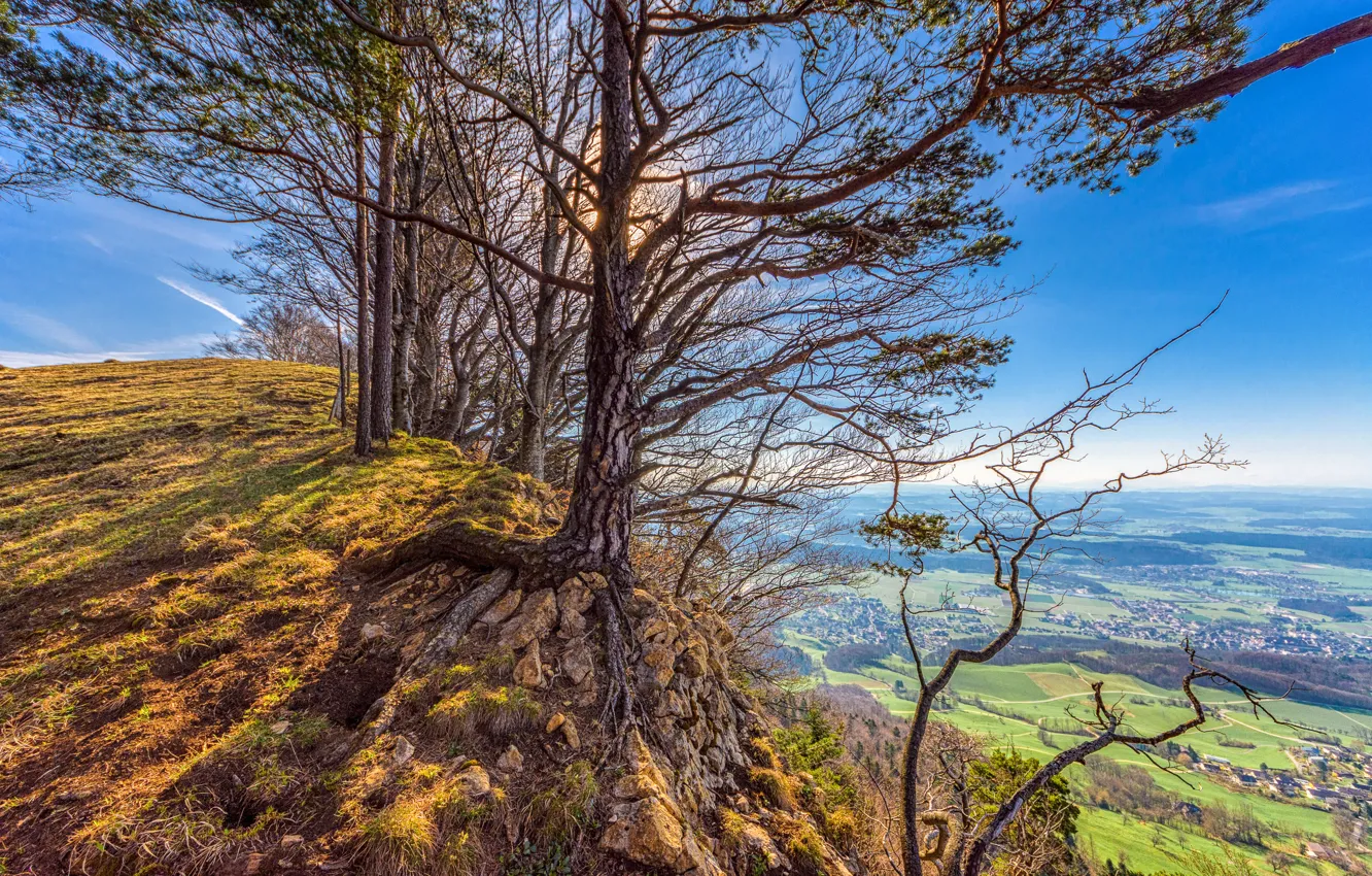 Photo wallpaper the sky, trees, branches, blue, blue, stones, open, blue