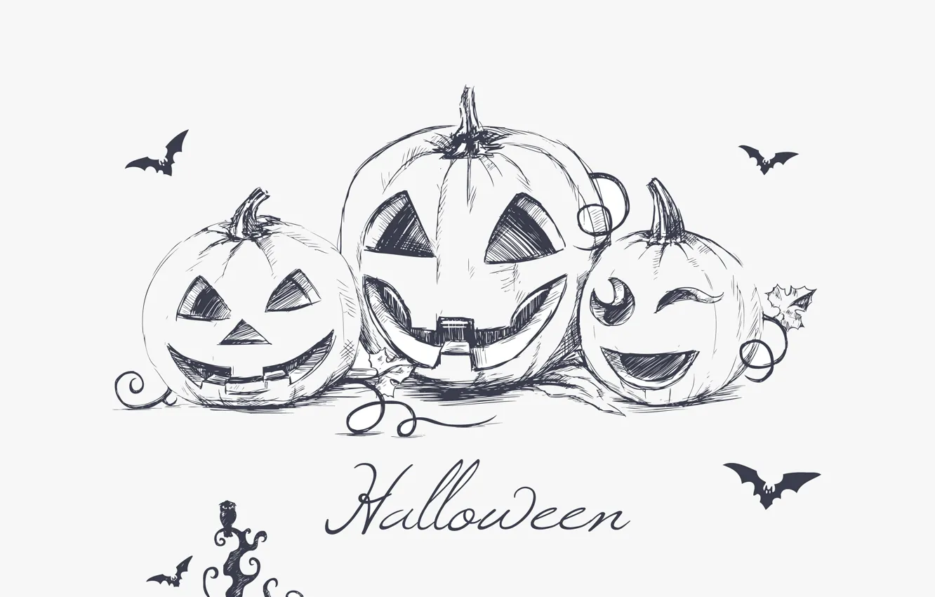 Photo wallpaper minimalism, Halloween, bats, halloween, minimalism, bats, evil pumpkins, hand drawing