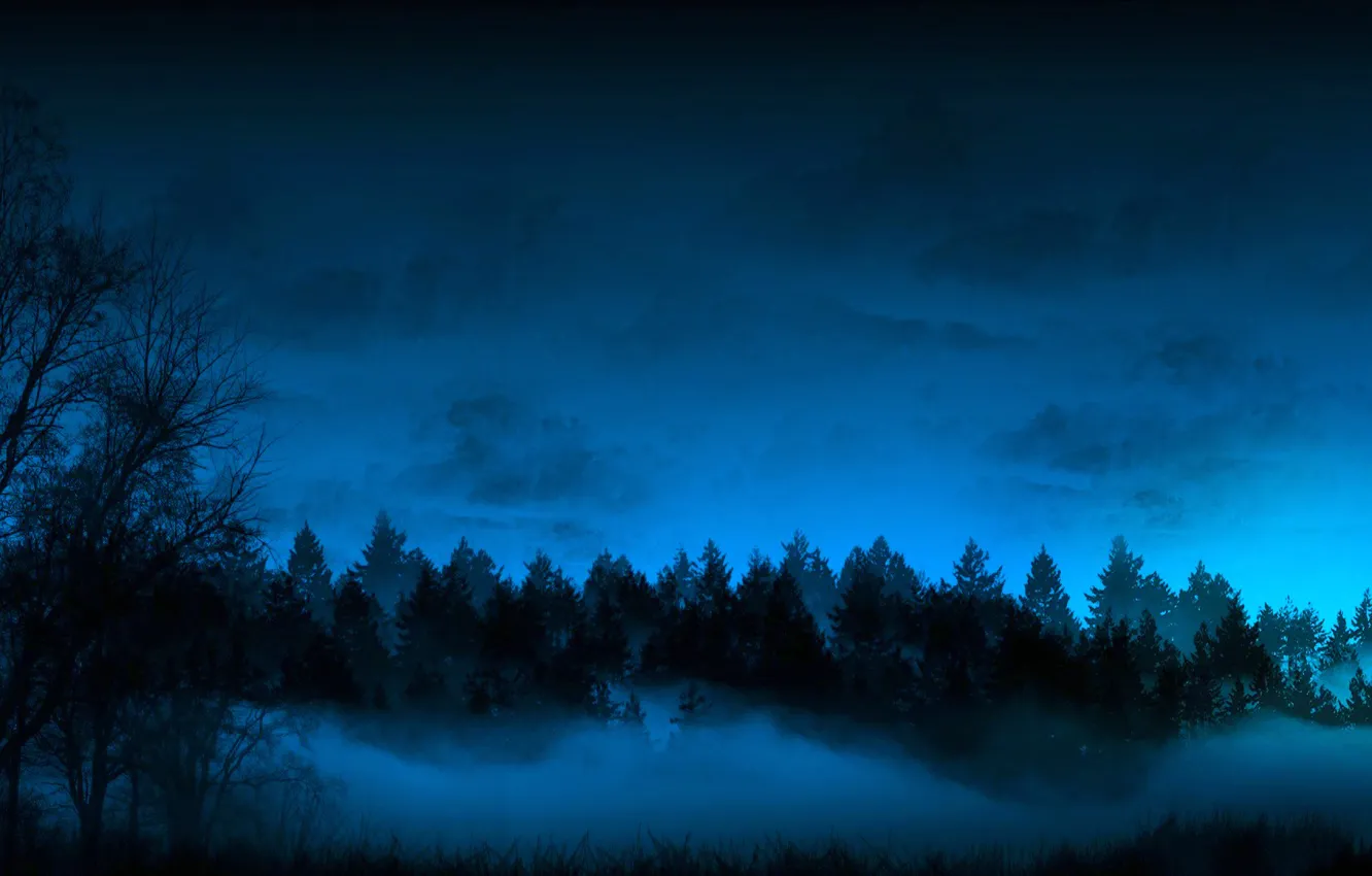 Photo wallpaper forest, the sky, trees, night, fog