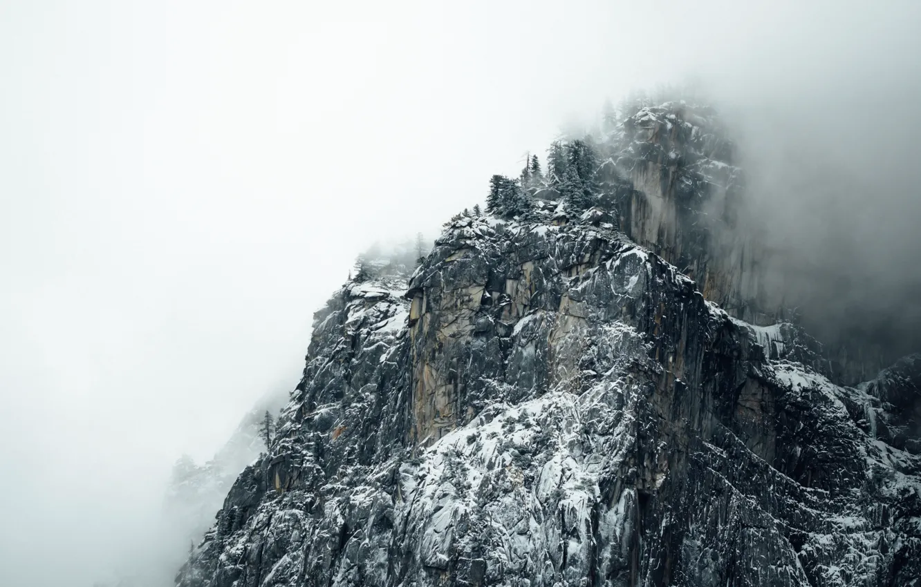 Photo wallpaper the sky, snow, trees, mountains, nature, fog, rocks, Alps