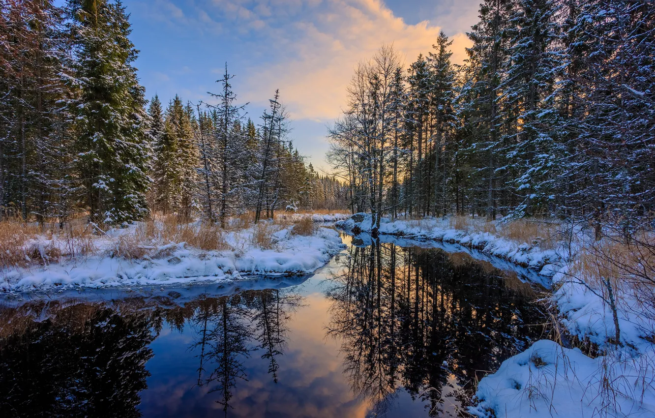 Photo wallpaper winter, forest, water, snow, trees, reflection, the snow, river
