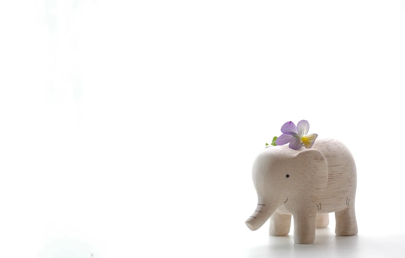 Photo wallpaper flowers, background, elephant