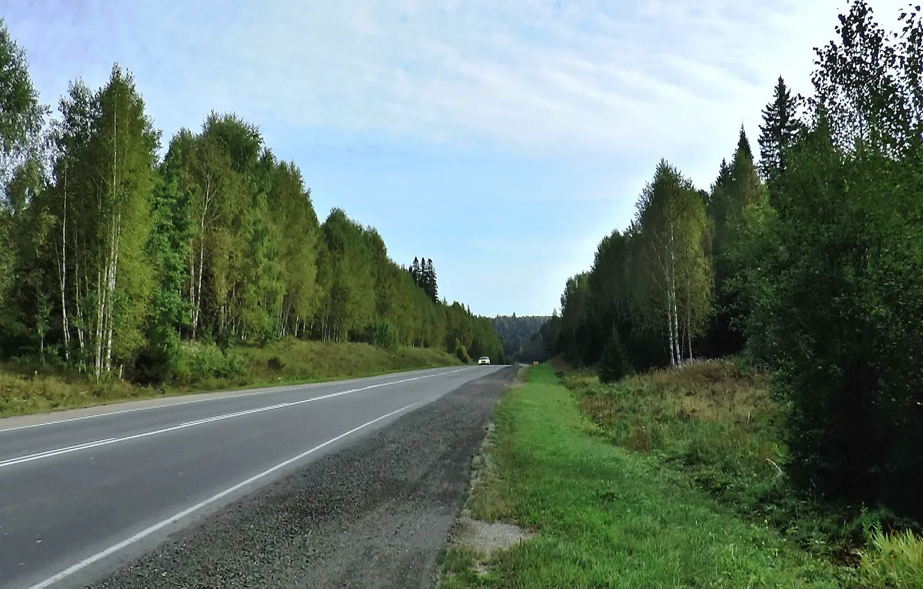 Photo wallpaper forest, summer, Road, taiga, Siberia