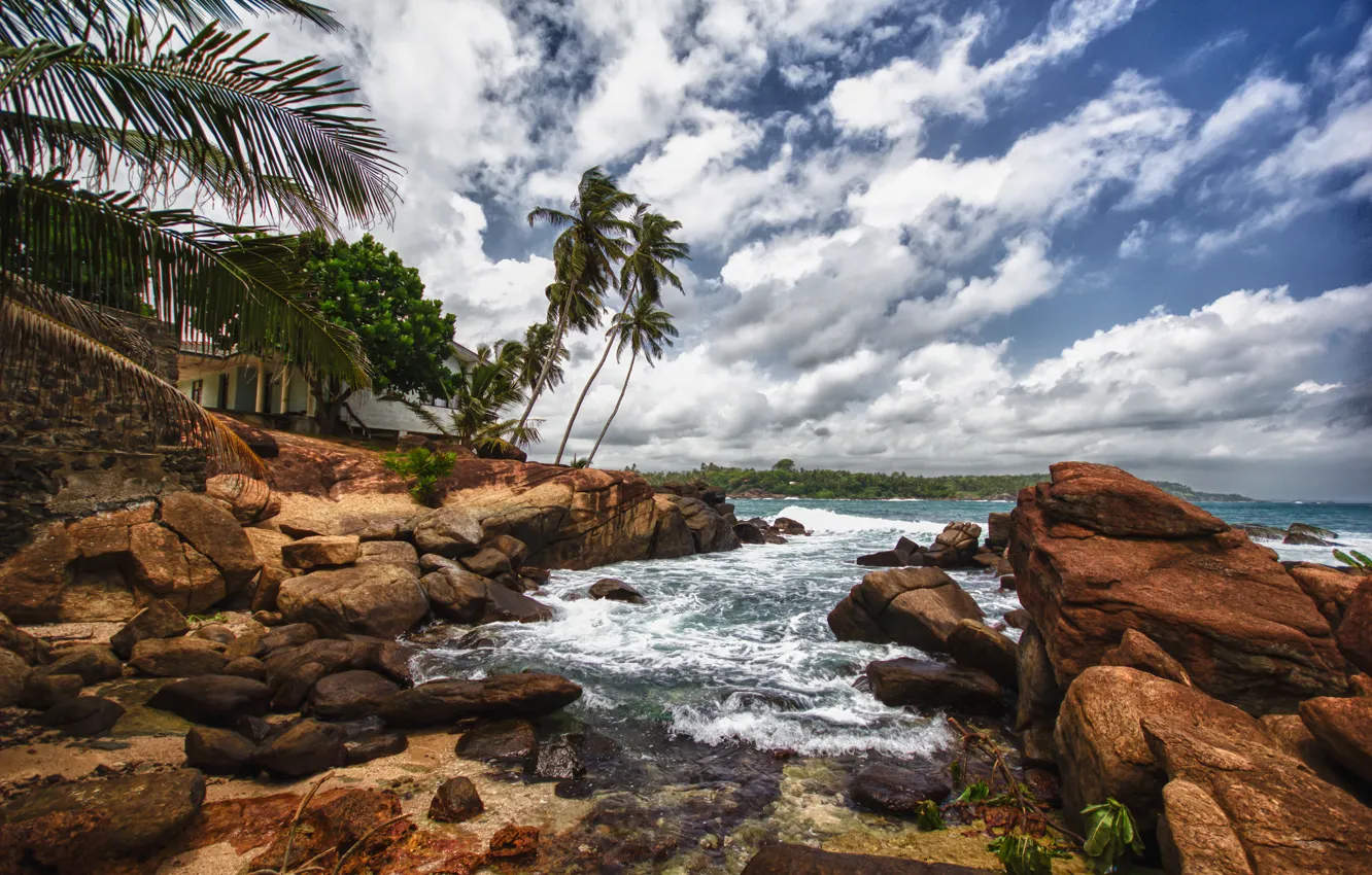 Photo wallpaper beach, stones, palm trees, Sri Lanka