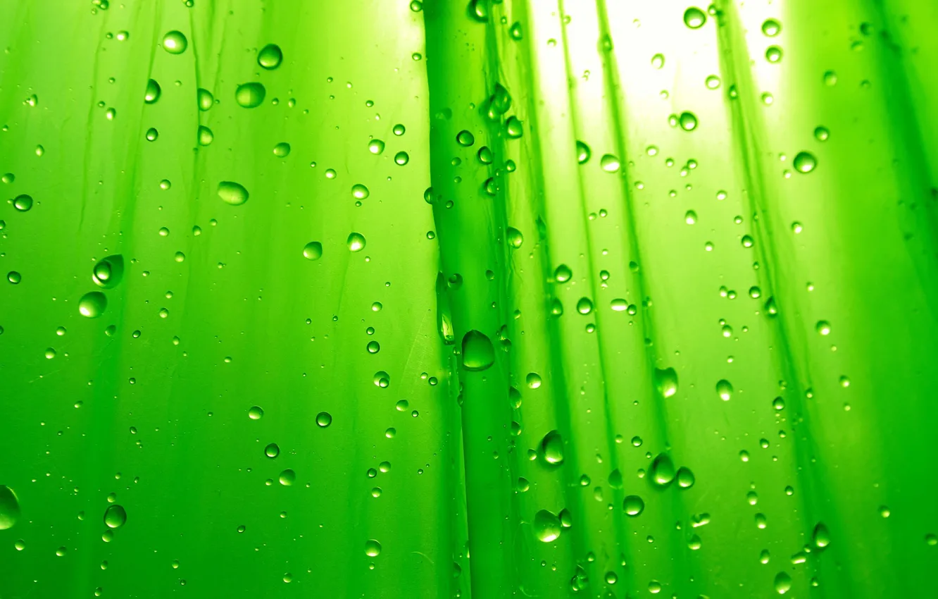 Photo wallpaper Drops, Green, Background
