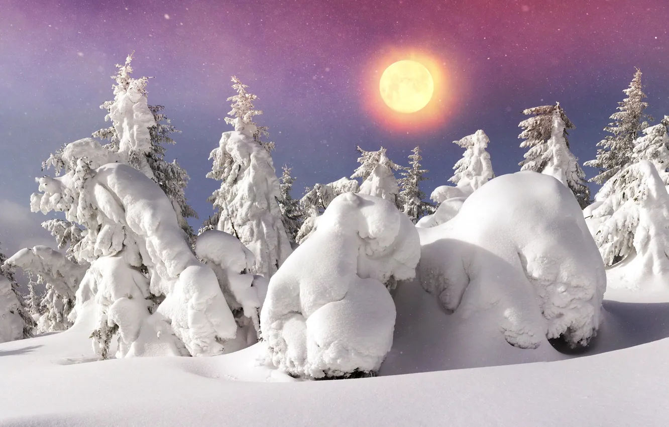 Photo wallpaper winter, forest, the sky, the sun, snow, trees, snowflakes, the snow
