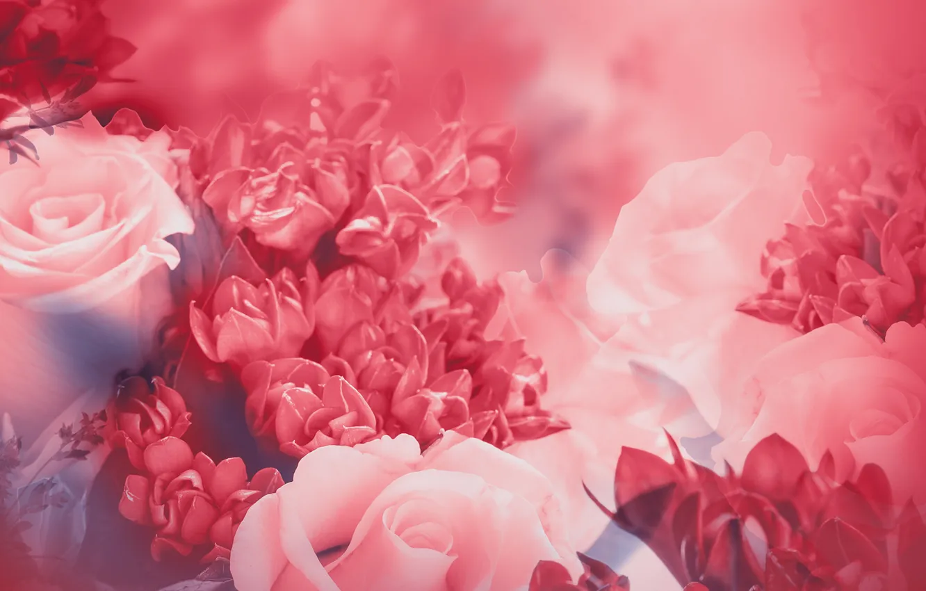 Photo wallpaper leaves, flowers, roses, petals, pink, buds, flowering