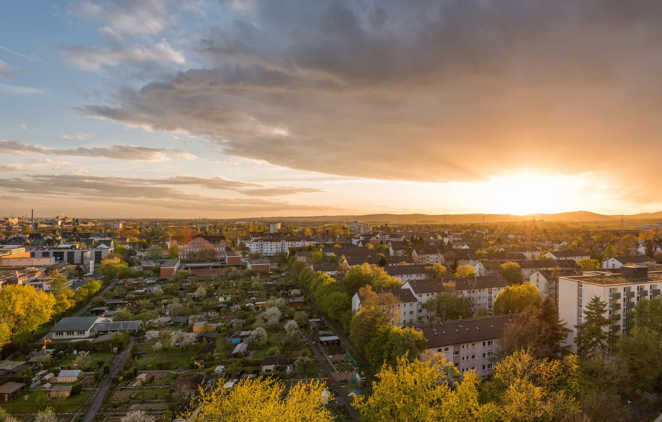 Photo wallpaper sunset, Germany, Frankfurt, Germany, sunset, Frankfurt