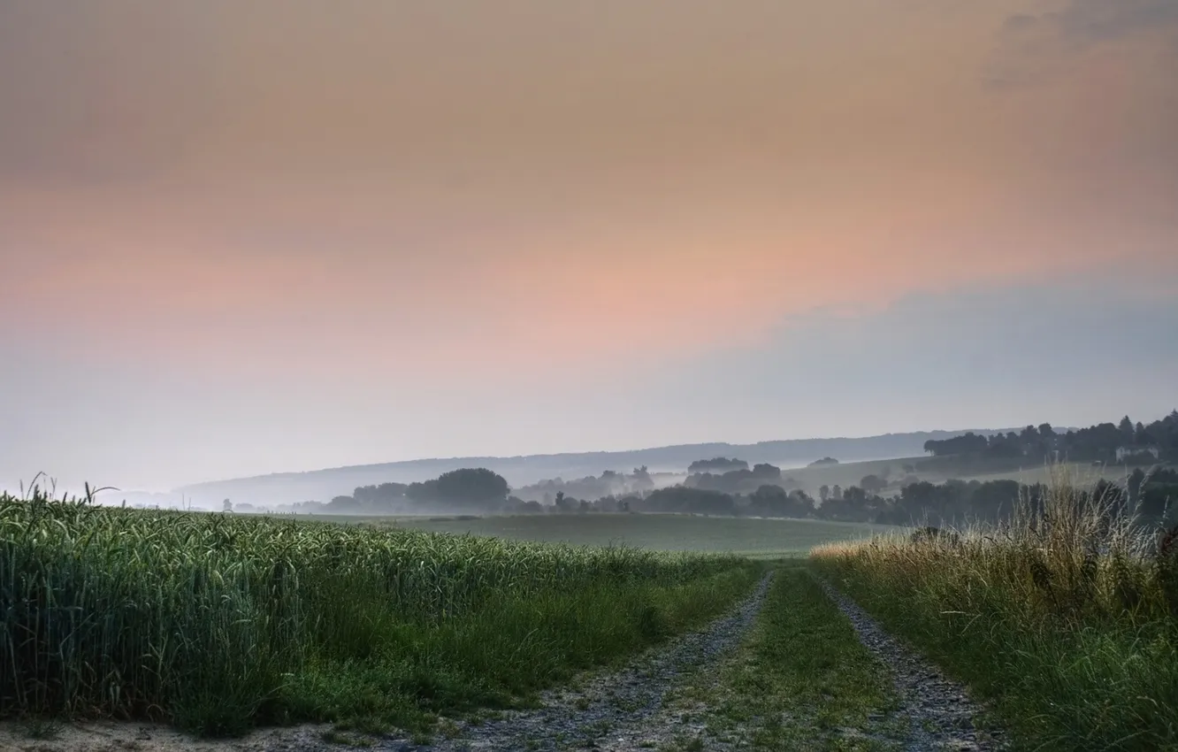 Photo wallpaper road, field, summer, the sky, trees, nature, fog, dal