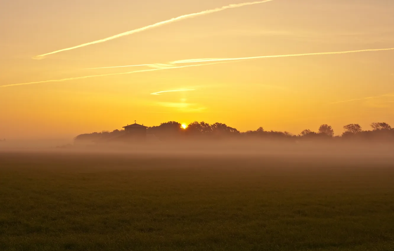 Photo wallpaper field, light, fog
