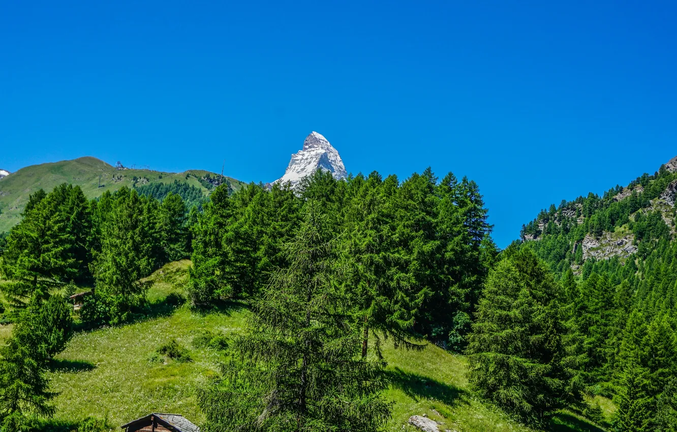 Photo wallpaper greens, summer, the sky, the sun, trees, mountains, blue, Switzerland