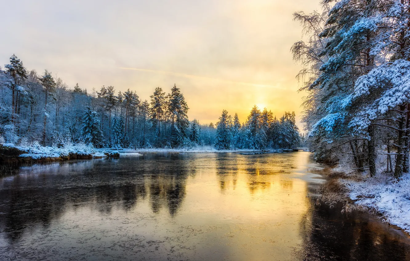 Photo wallpaper winter, river, morning