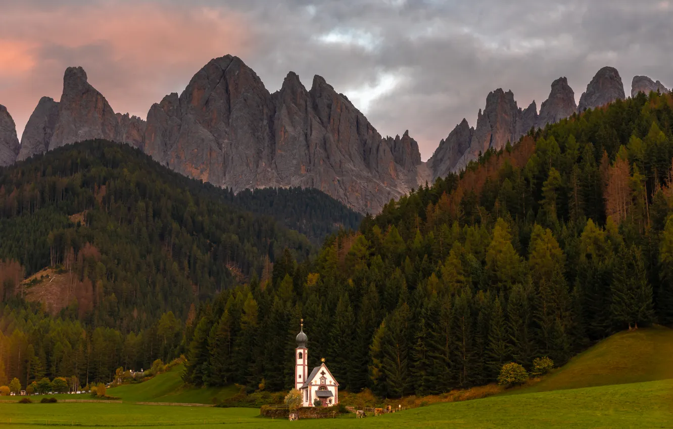 Photo wallpaper forest, summer, clouds, mountains, beauty, Church, Dolomites, Evgenia Cech
