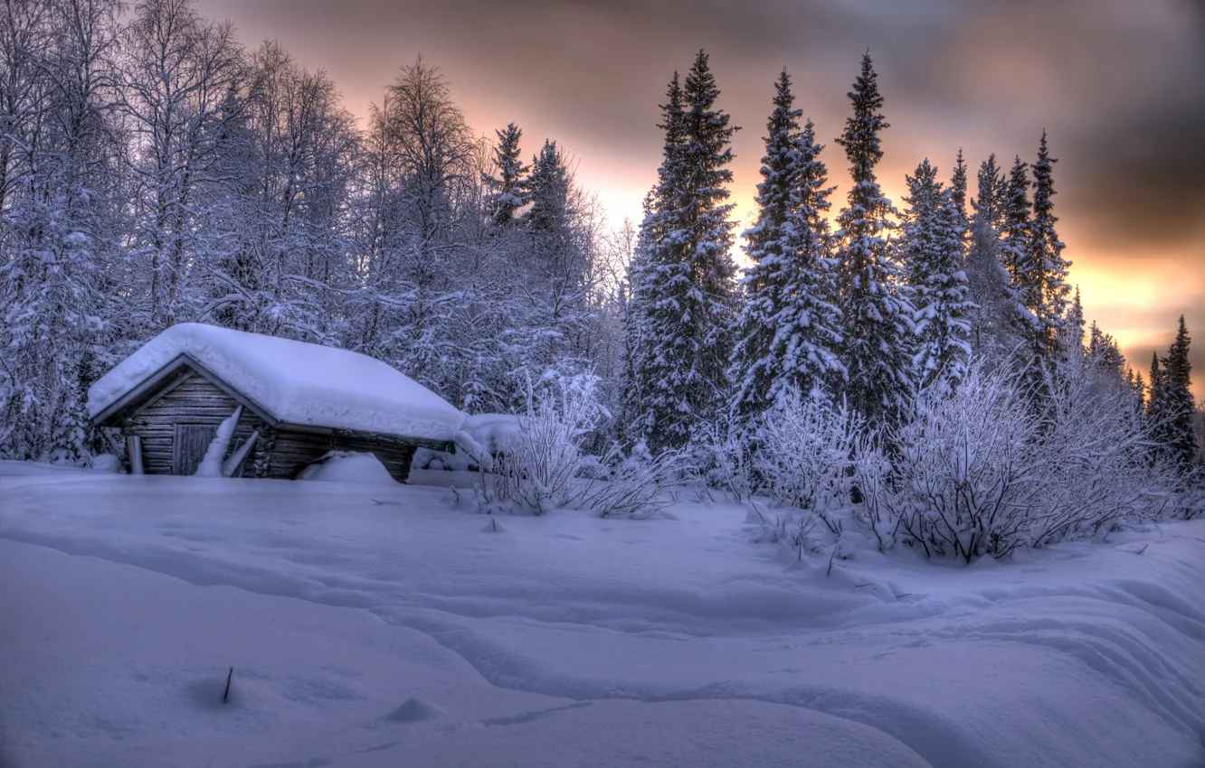 Photo wallpaper winter, forest, snow, trees, hut, the snow, Finland, Finland